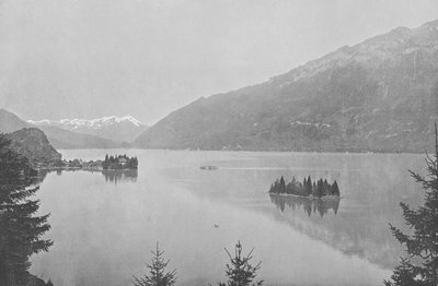 Iseltwald, Lago de Brienz de Swiss Photographer