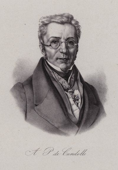 Augustin Pyramus de Candolle, botánico suizo de Swiss School