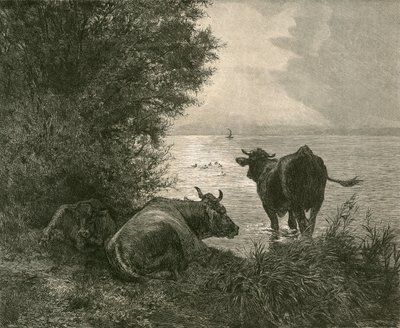 Temprano en la mañana en el lago de Zúrich de Swiss School