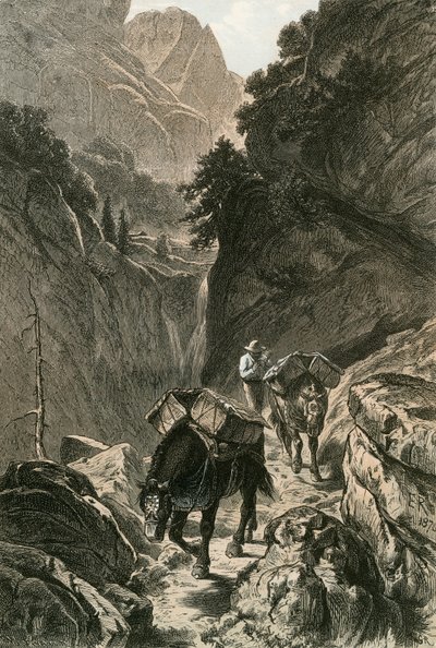 Caballos de carga atravesando un paso de montaña de Swiss School