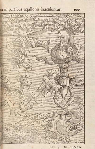 Página 1005 de Cosmographiae Universalis por Sebastian Muenster, Basilea, 1572 de Swiss School