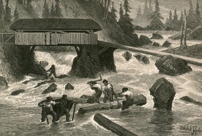 Flotadores de madera de Swiss School