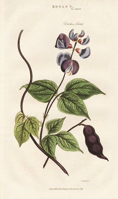  de Sydenham Teast Edwards