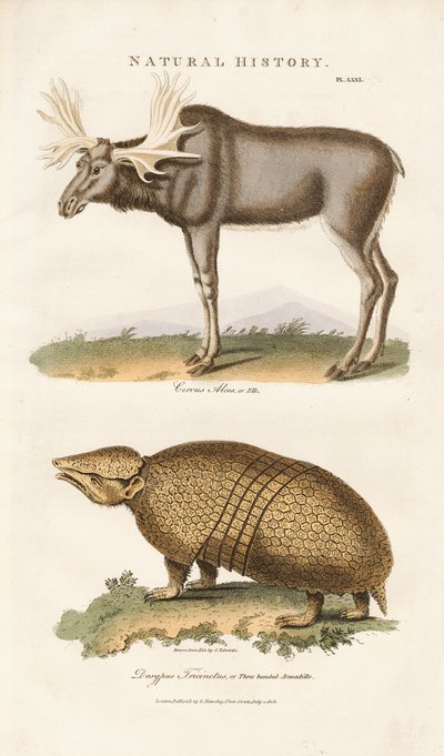  de Sydenham Teast Edwards