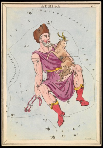 Auriga, c.1825 (cartulina, papel, tejido ) de Sydney Hall
