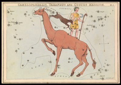 Camelopadalis, Tarandus y Custos Messium, c.1825 (cartulina, papel, tejido ) de Sydney Hall