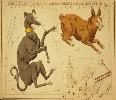 Canis Major, Lepus, Columba Noachi & Cela Sculptoris, Ilustración de 