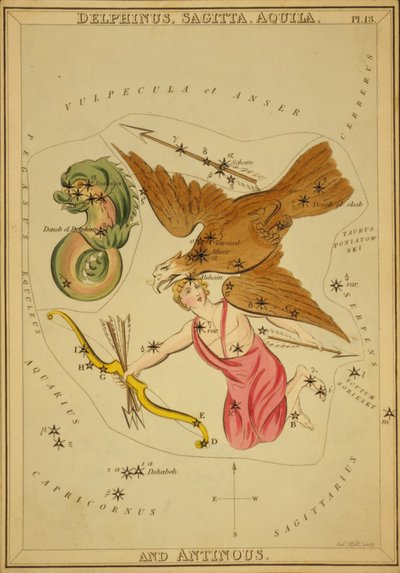 Delphinus, Sagitta, Aquila y Antinous, Ilustración de 