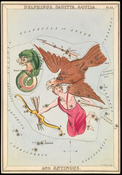 Delphinus, Sagitta, Aquila y Antinoo, c.1825 (cartulina, papel, tejido) de Sydney Hall