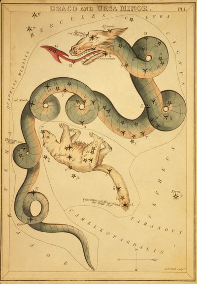 Draco y Ursa Minor, Ilustración de 