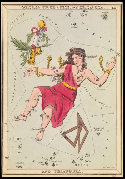 Gloria Frederich, Andrómeda y Triángulo, c.1825 (cartulina, papel, tejido ) de Sydney Hall