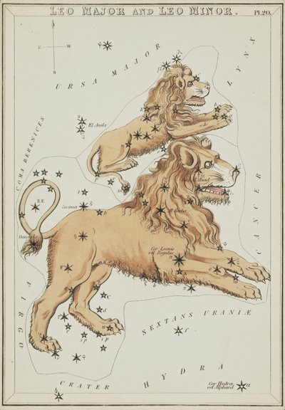 Leo Mayor y Leo Menor, Ilustración de 
