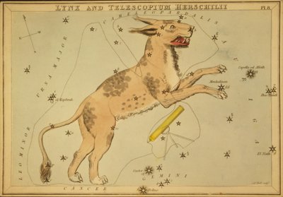 Lince y Telescopium Herschilii, Ilustración de 