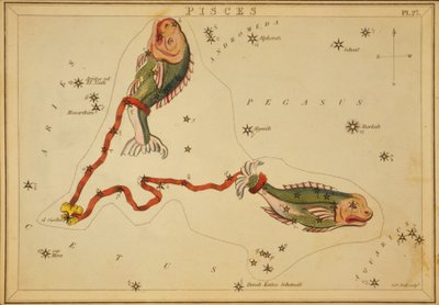 Piscis, ilustración de 