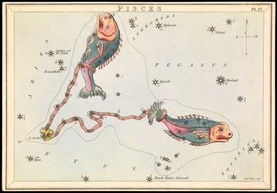 Piscis, c.1825 (cartulina, papel, tejido ) de Sydney Hall