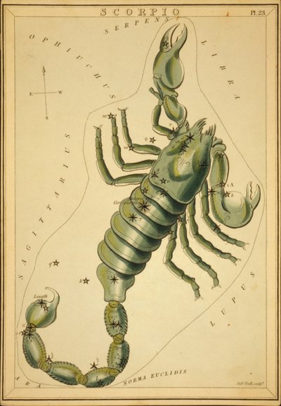 Escorpio, Ilustración de 