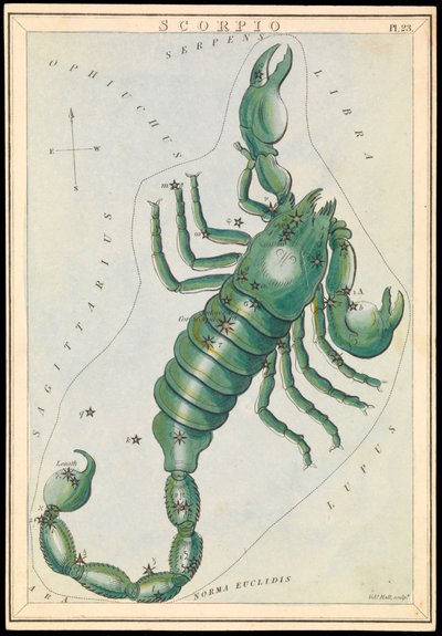 Scorpio, c.1825 (cartulina, papel, tejido ) de Sydney Hall