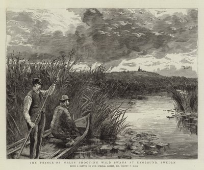 El Príncipe de Gales cazando cisnes salvajes en Ekolsund, Suecia de Sydney Prior Hall