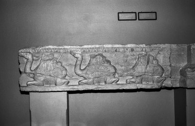 Relieve de camello de Syrian