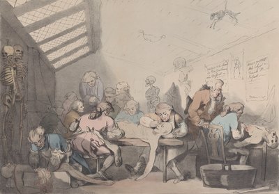La Sala de Disección, ca. 1838 de T. C. Wilson
