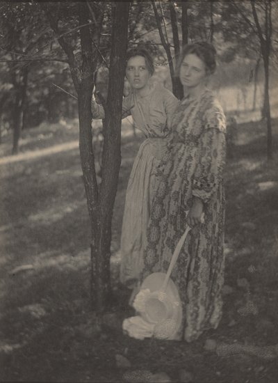 En el bosque,c. 1899 (foto) de T. M. Edmiston