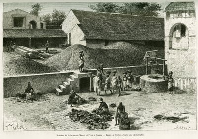 Dentro de la factoría Maurel y Prom, en Boulam, recolecta y procesamiento de cacahuetes, almendra de palma y caucho. Grabado por Taylor, después de una fotografía, para ilustrar la historia Viaje en la Senegambia y la Guinea portuguesa, en 1888, por el Cap de T Taylor