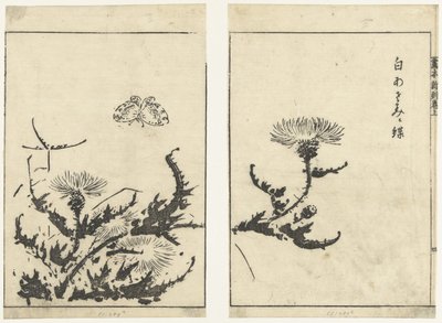 ji s mano ls jardín vin de r Esta es la declaración final (serie s land) de Tachibana Morikuni (attributed to)