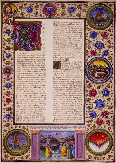Incipit del Libro de Joel de Taddeo Crivelli