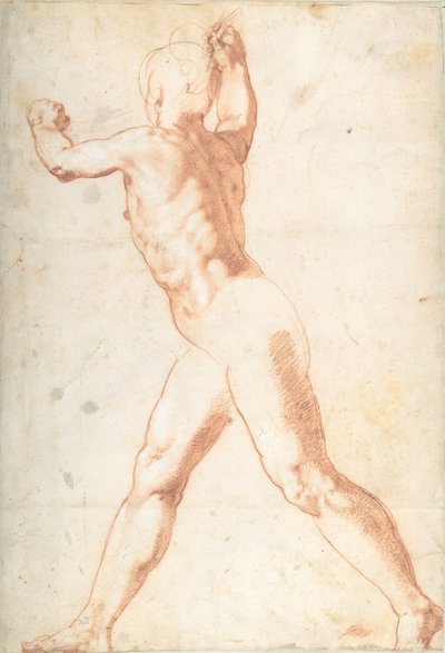 Hombre desnudo de pie (recto), tres estudios de soldados (verso), 1550 de Taddeo Zuccaro