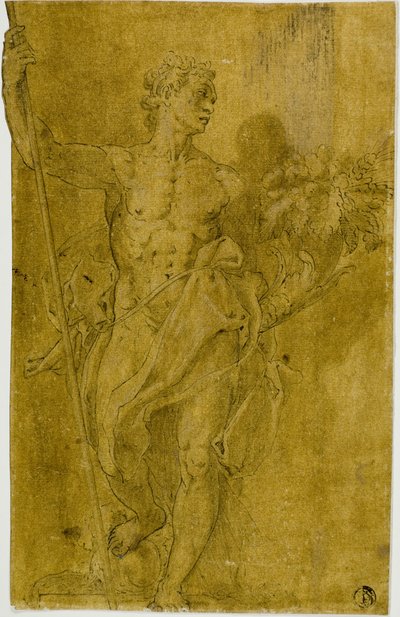 Estudio para figura alegórica masculina de Taddeo Zuccaro