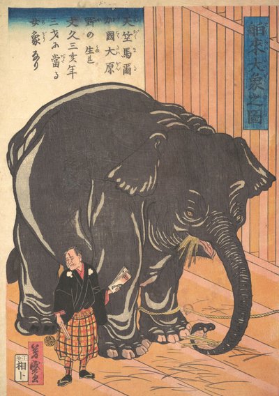 Vista del Gran Elefante Importado, 1863 Bunkyo 3, 4º mes de Taguchi Yoshimori
