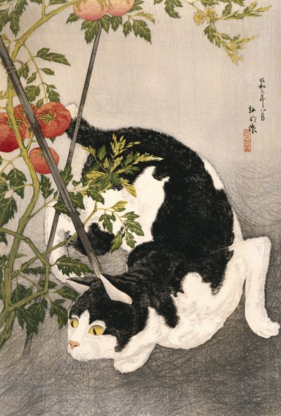Gato rondando una planta de tomate estacada, 1931 de Takahashi Hiroaki