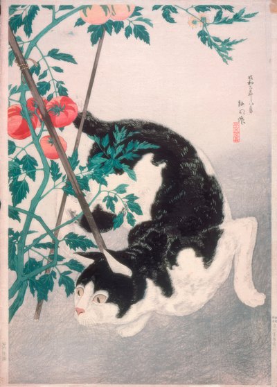 Gato con planta de tomate de Takahashi Hiroaki
