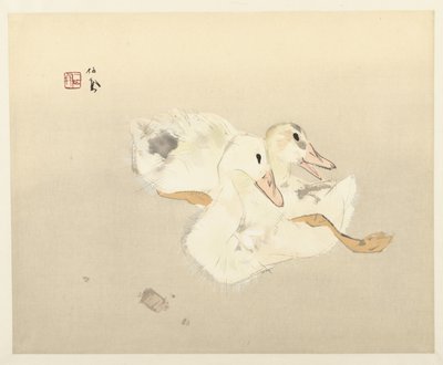 patos jóvenes de Takeuchi Seiho