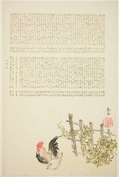Gallina y gallo junto a la valla de Tanaka Nangai