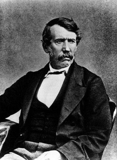 Retrato de Livingstone - fotografía de Annan y hijos, Glasgow de T.and R. Annan and Sons