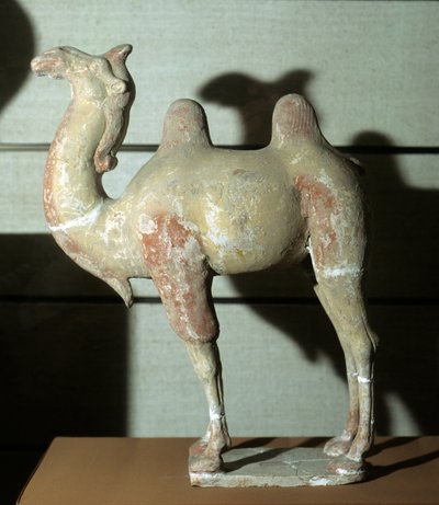 Camello colorido, objeto funerario, 618-907 (terracota) de Tang Dynasty Chinese School
