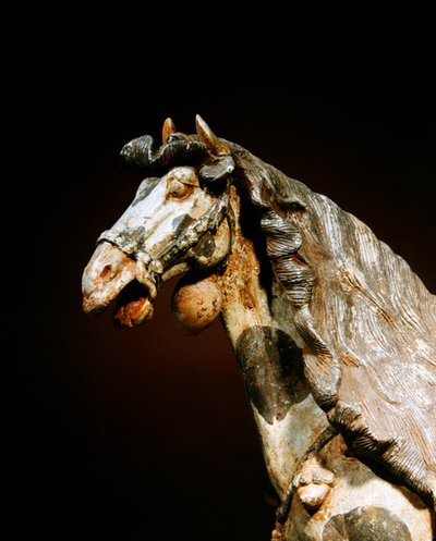 Detalle de un caballo, finales del siglo VII - principios del siglo VIII de Tang Dynasty Chinese School