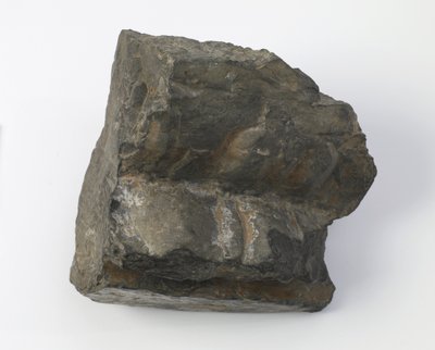 Fragmento de un pedestal de loto de Tang Dynasty Chinese School