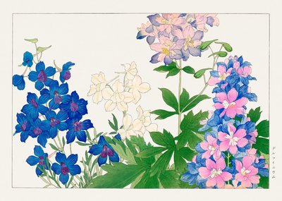 Flor de delphinium de "Seiyou Sokazufu" de Tanigami Konan