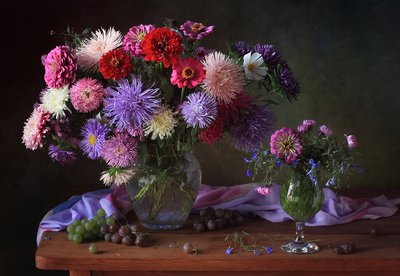 Naturaleza muerta con ásteres de colores vivos de Tatyana Skorokhod
