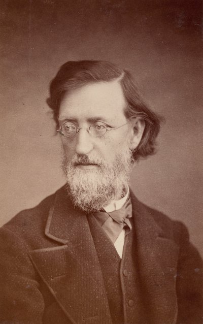 Retrato de John Peter Lesley 1819-1903, diciembre 1875 de Taylor and Brown