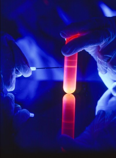 Extracción de nucleótidos de ARN de un tubo de centrífuga de plástico. de Ted Spiegel