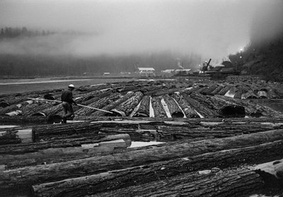 Operaciones de tala de Georgia-Pacific Corp. en bosques arbolados de Oregón ... de Ted Spiegel