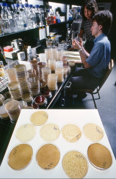 Doctorando de la Universidad de Illinois estudia el ADN recombinante en la Biblioteca de... de Ted Spiegel
