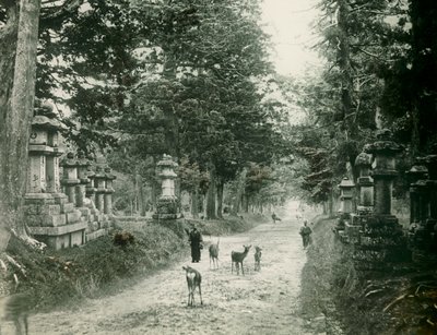  de Teijiro Takagi