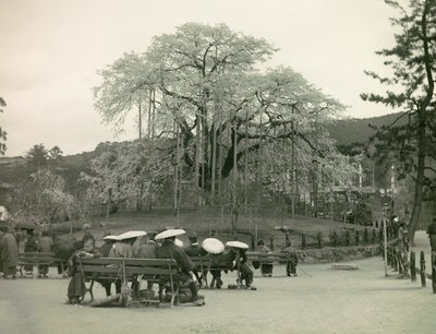  de Teijiro Takagi