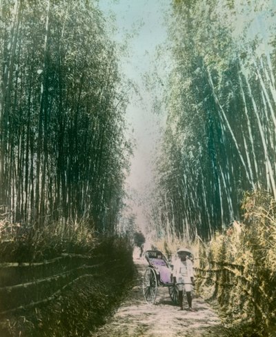  de Teijiro Takagi