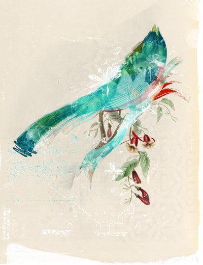 Silueta de pájaro, 2017 (Collage sobre lienzo) de Teis Albers