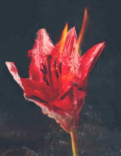 Combust, 2019 (técnica mixta sobre lienzo) de Teis Albers